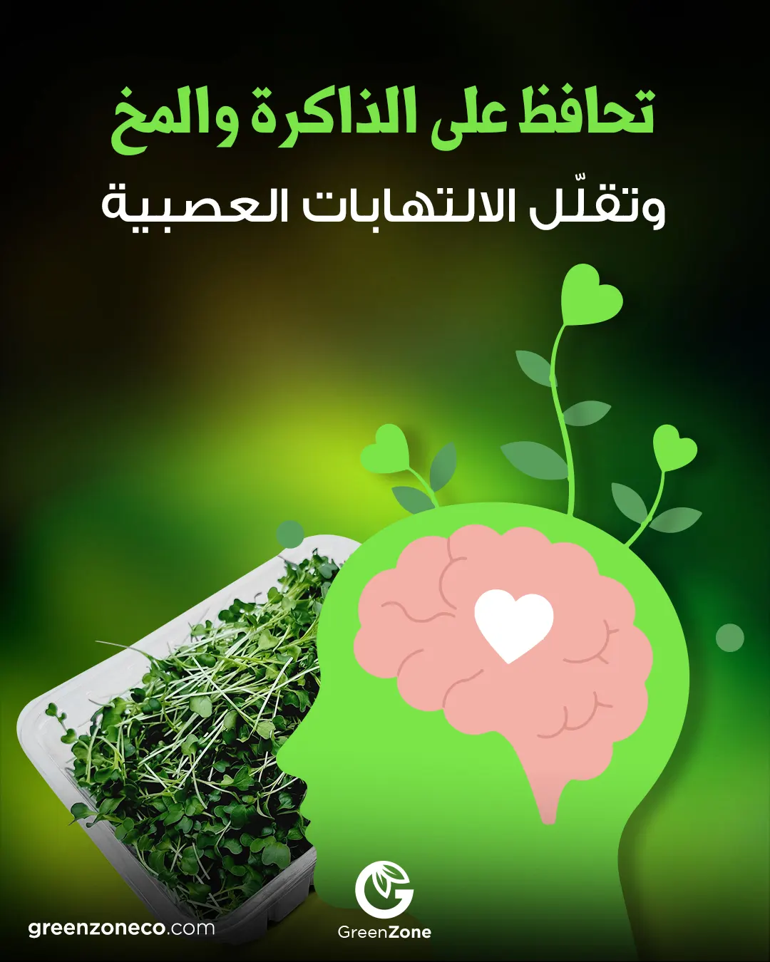 Memory & brain