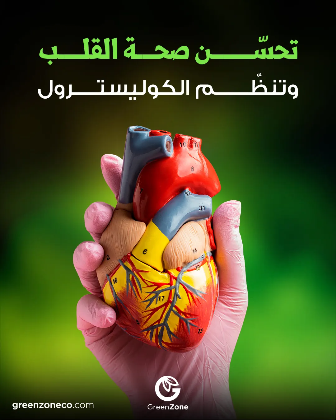 Heart