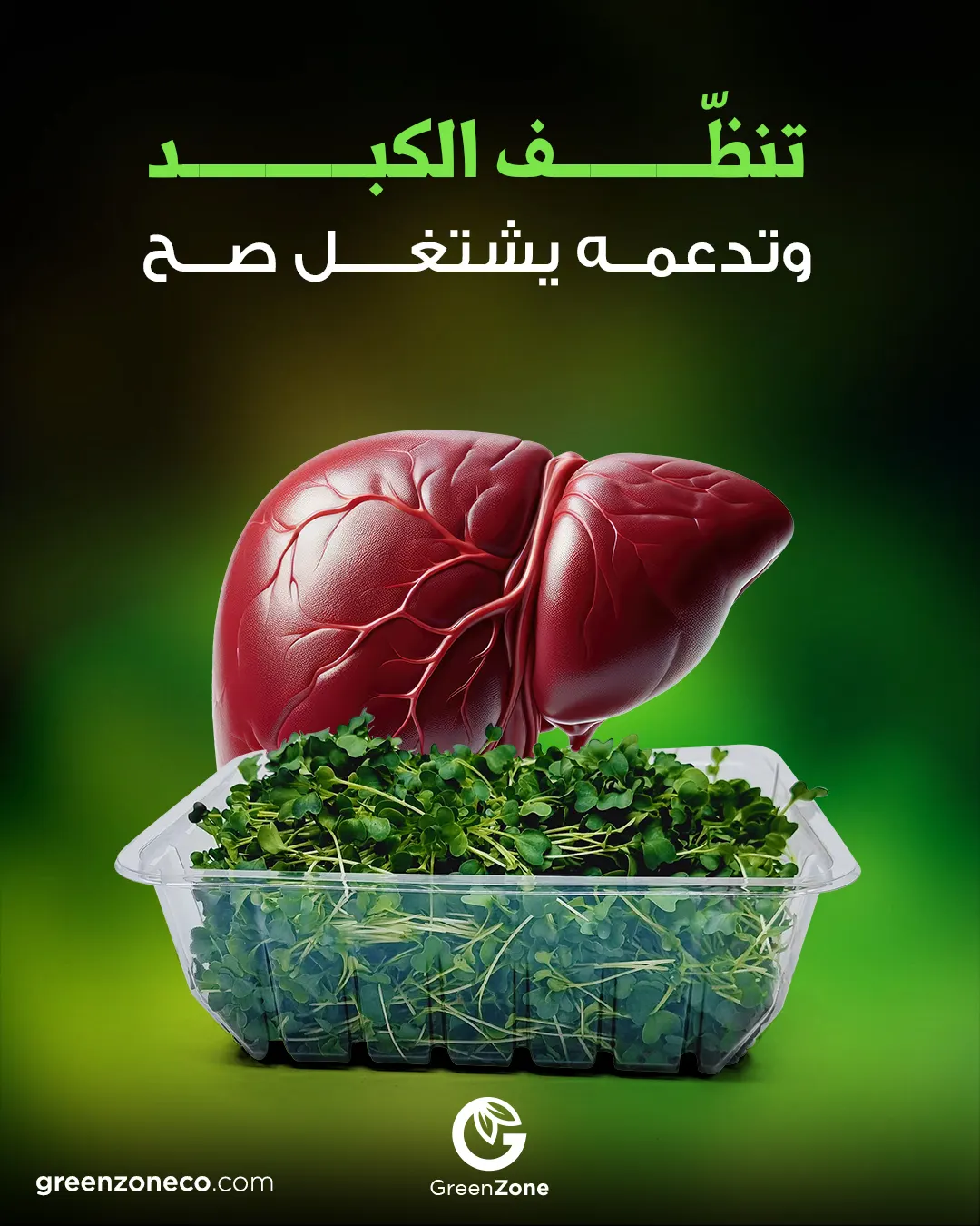 Liver