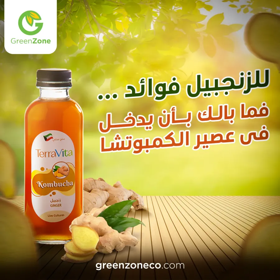 Green Zone Kuwait social media design by Mohamed Wero
