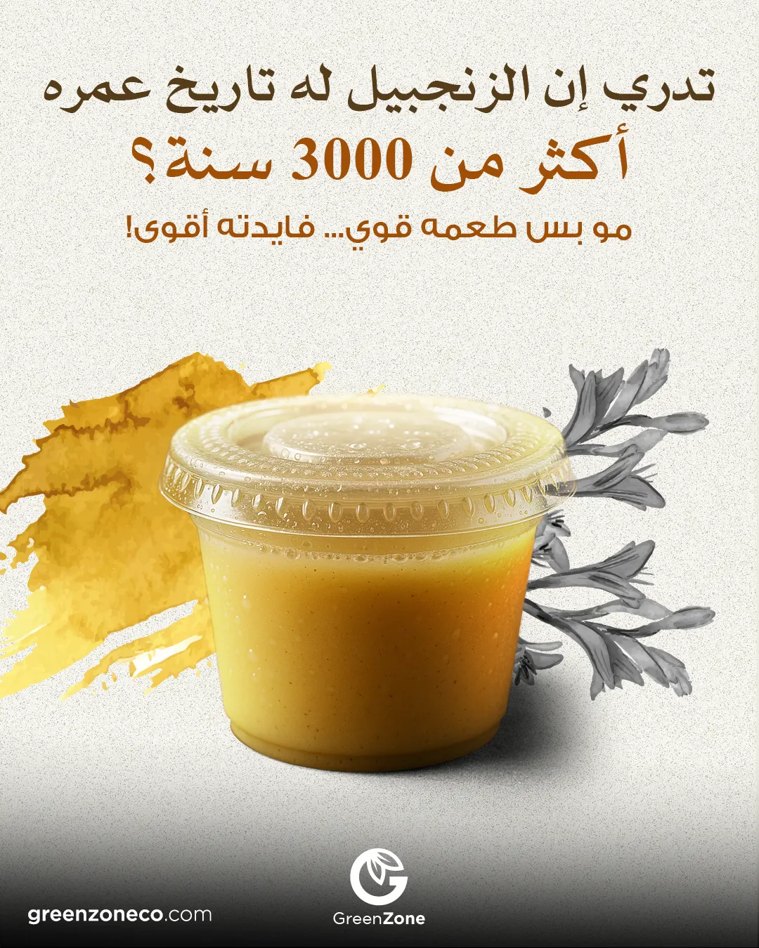 Ginger · 3,000 years